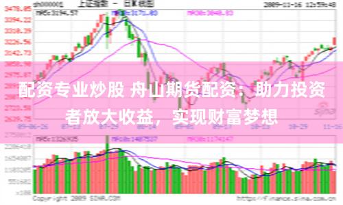 配资专业炒股 舟山期货配资：助力投资者放大收益，实现财富梦想