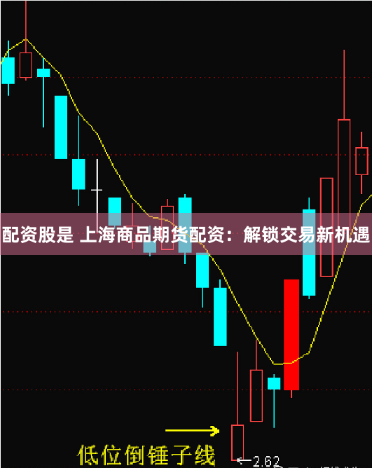 配资股是 上海商品期货配资：解锁交易新机遇