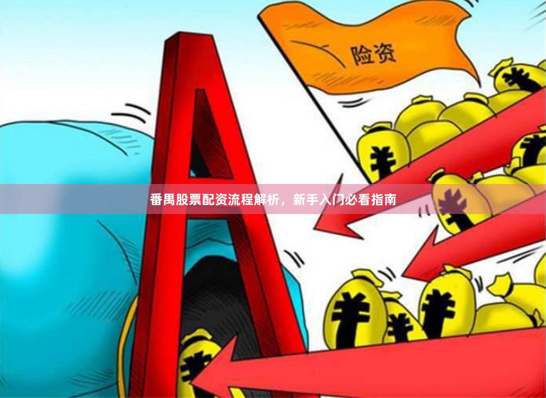 番禺股票配资流程解析，新手入门必看指南